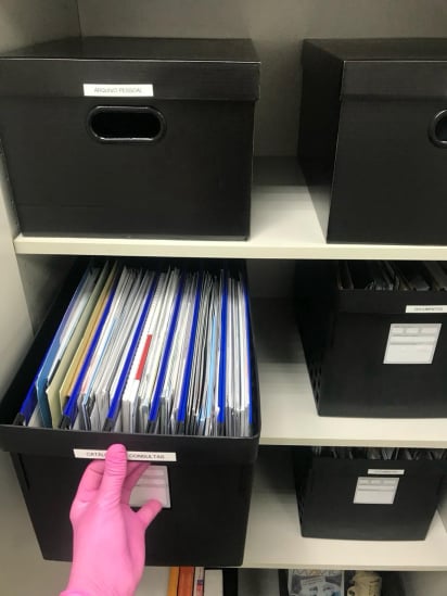 Personal Organizer Mudança